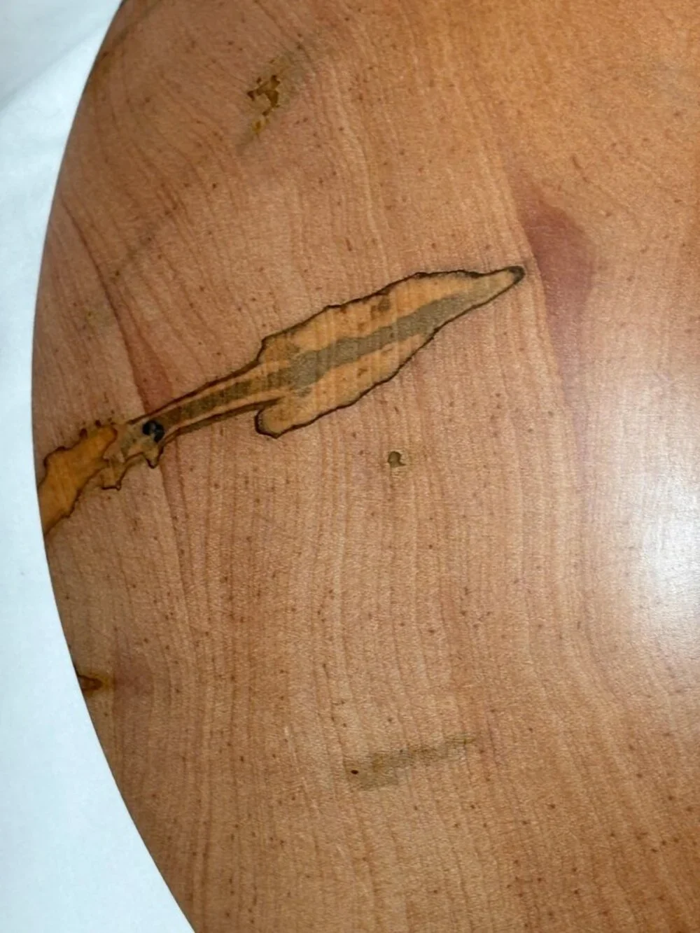 Warren Carpenter Ambrosia Maple Bowl • Hand‑Turned • Signed Artisan Piece